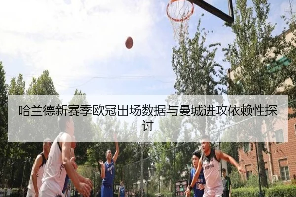 img_1791779632397_390_1_952.jpg